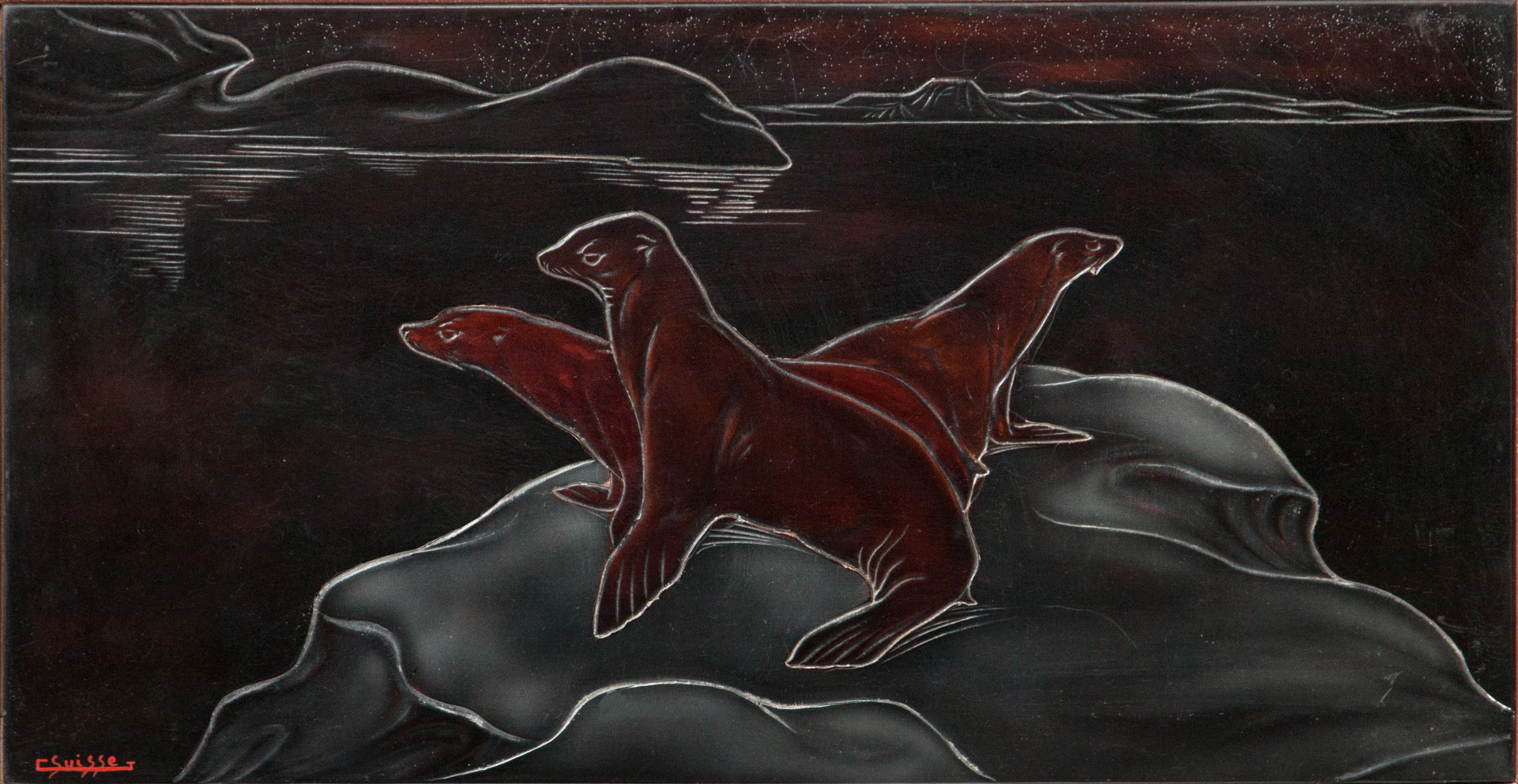 Otaries sur la banquise